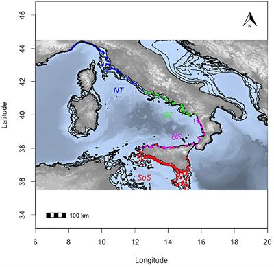 Fourier-transform near-infrared spectroscopy first application to age determination in European fish species: the case of the Atlantic horse mackerel from the central Mediterranean Sea